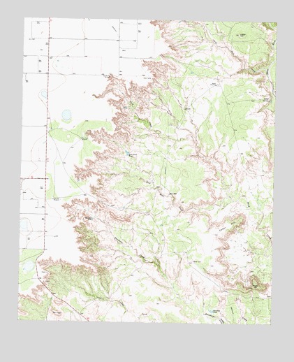 Collett Springs, TX USGS Topographic Map