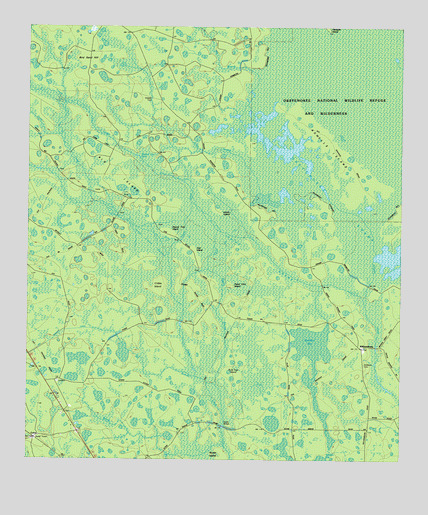 Colon, GA USGS Topographic Map