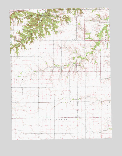 Colusa, IL USGS Topographic Map