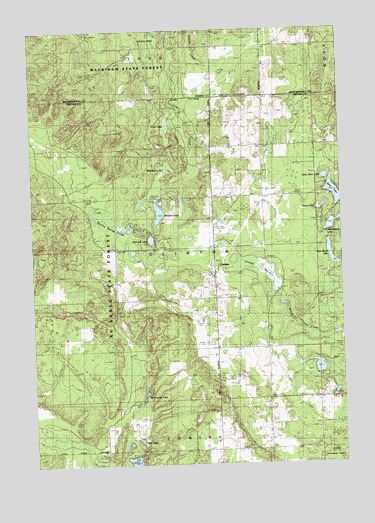Comins, MI USGS Topographic Map
