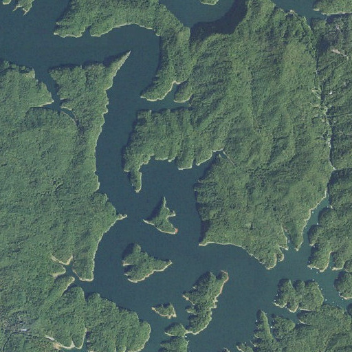 Aerial imagery of Fishtrap Branch, NC