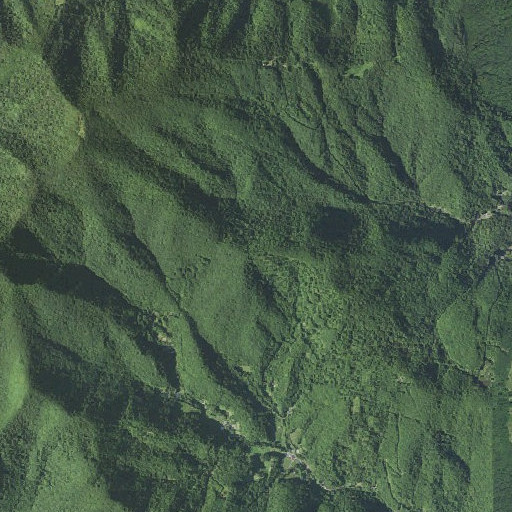 Aerial imagery of Firescald Mountain, NC