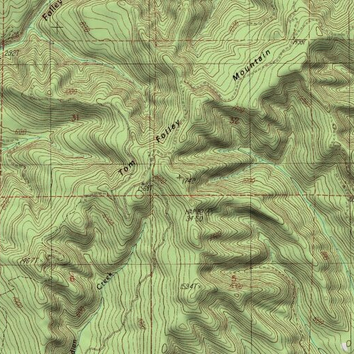 USGS 24K topo map of Tom Folley Mountain, OR