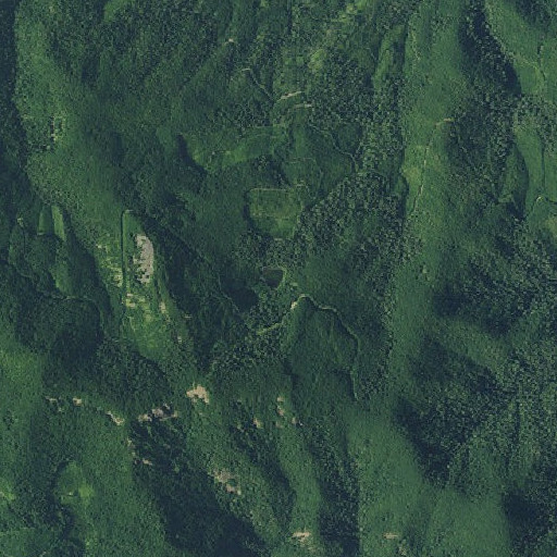 Aerial imagery of Crawfish Lake, OR