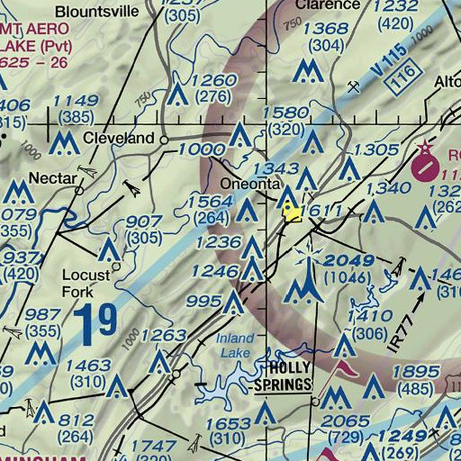 FAA VFR chart of Cheney Branch, AL