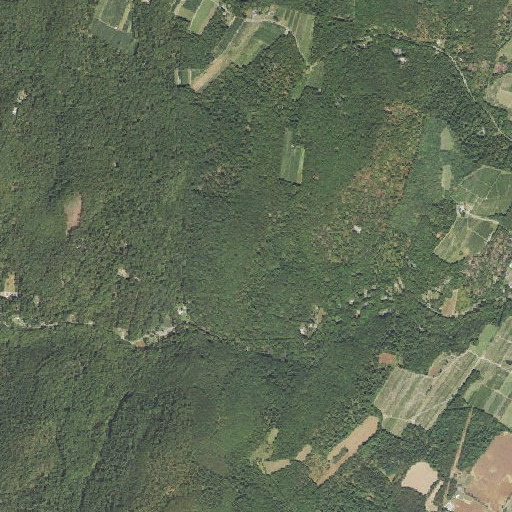 Aerial imagery of Bakers Knob, PA