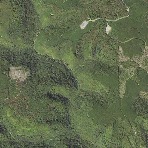 Aerial imagery of Cherry Run, PA