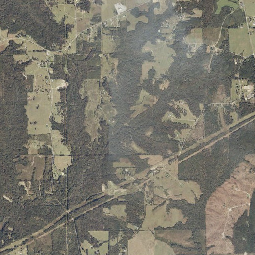 Aerial imagery of Pierce Branch, AL
