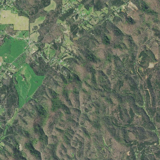 Aerial imagery of Bill Jack Gap, TN