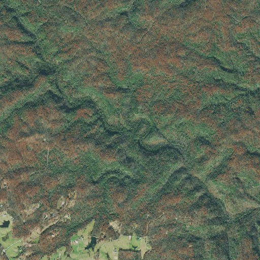 Aerial imagery of Crooked Branch, TN