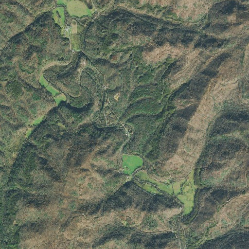 Aerial imagery of Long Branch, TN