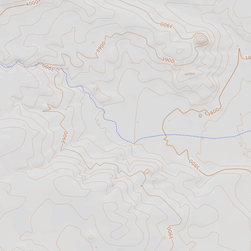 OpenTopoMap map of Flowing Well, TX