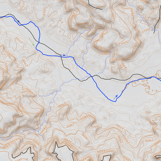 OpenTopoMap map of Leigh Arroyo, TX