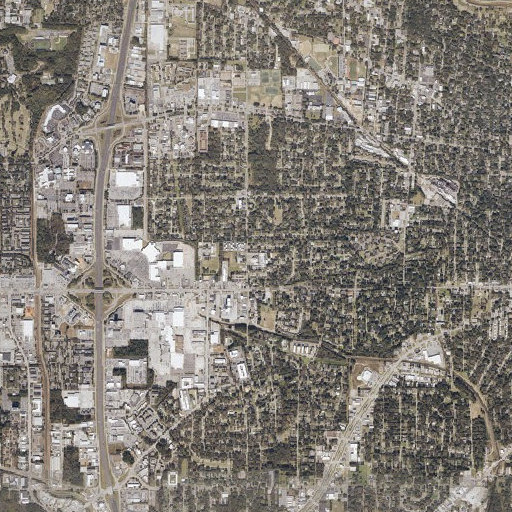 Aerial imagery of Saint Pius X School, AL