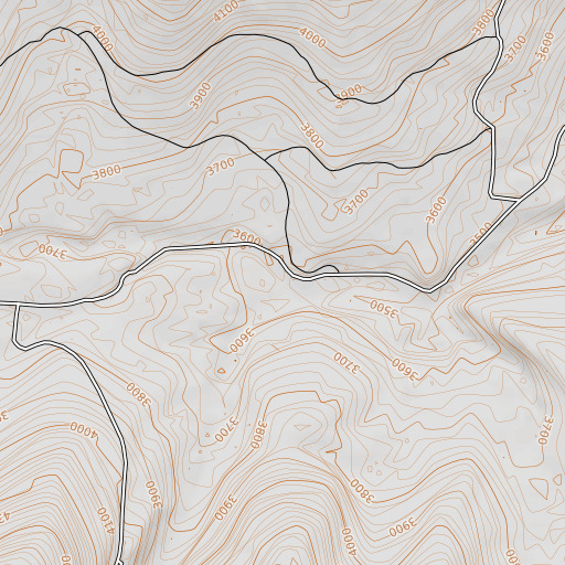 OpenTopoMap map of Aeneas Spring, WA