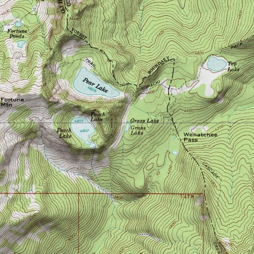USGS 24K topo map of Grass Lake, WA