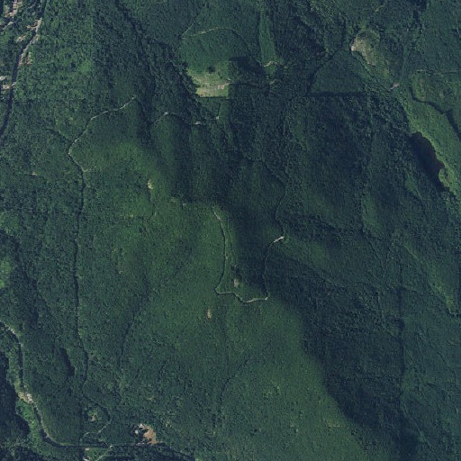 Aerial imagery of Mount Walker, WA