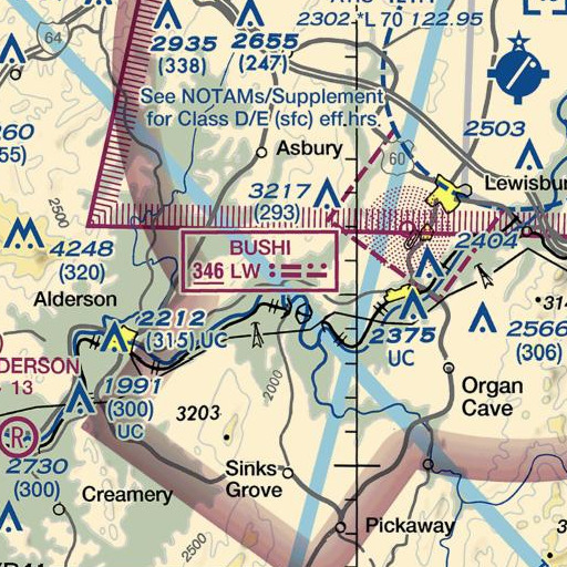 FAA VFR chart of Davis Spring, WV