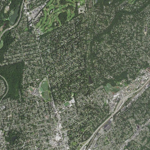 Aerial imagery of Thornton-Donovan School, NY