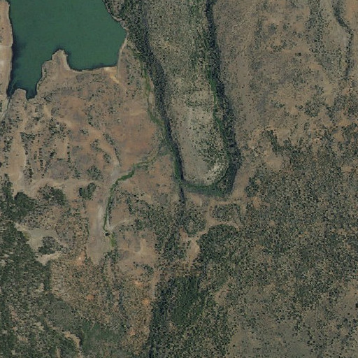Aerial imagery of Cottonwood Spring, CA