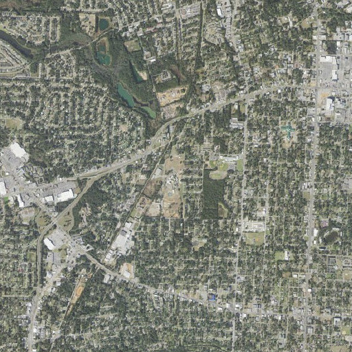 Aerial imagery of Oakcrest School, FL