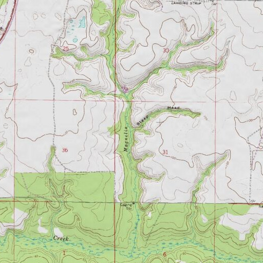 USGS 24K topo map of Steep Head, FL
