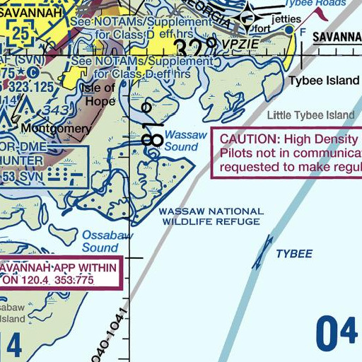 FAA VFR chart of Flag Pond, GA