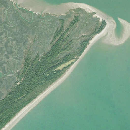 Aerial imagery of Flag Pond, GA