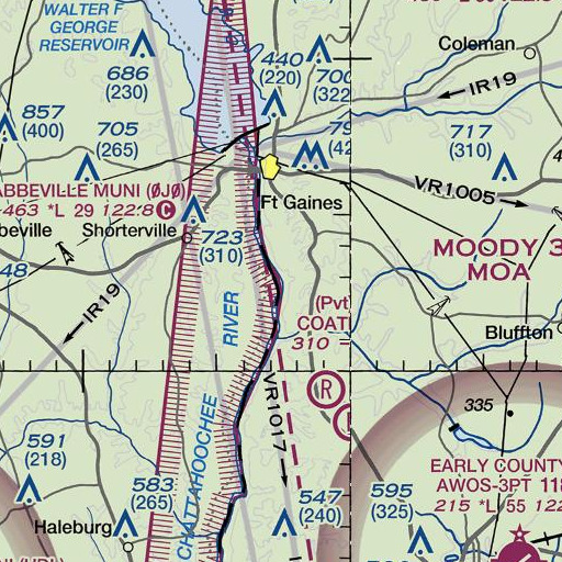 FAA VFR chart of Roaring Branch, GA