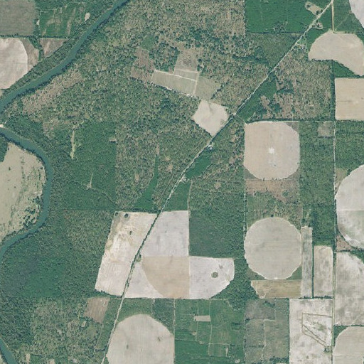 Aerial imagery of Saint Marks Church, GA