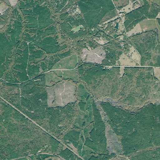 Aerial imagery of Watts Branch, GA