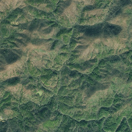 Aerial imagery of Millshoal Creek, GA