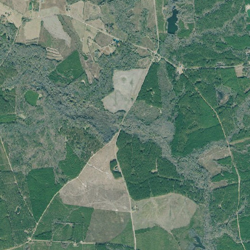 Aerial imagery of Daniel Bridge, GA