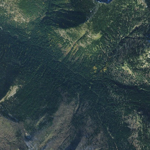 Aerial imagery of Button Creek, ID