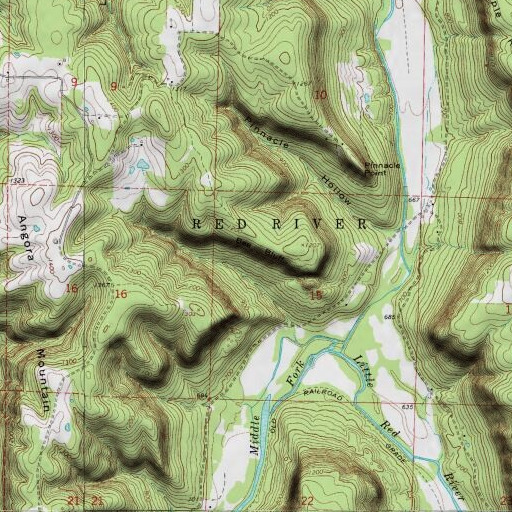 USGS 24K topo map of Bee Bluff, AR