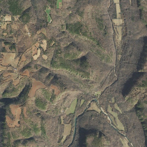 Aerial imagery of Bee Bluff, AR