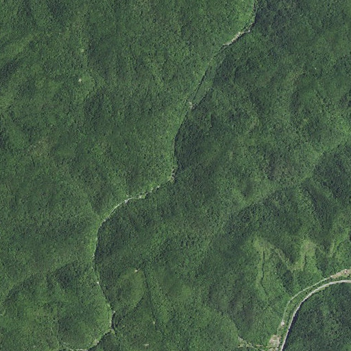 Aerial imagery of Dan Bowling School, KY