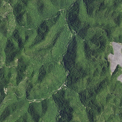 Aerial imagery of Mudlick Branch, KY
