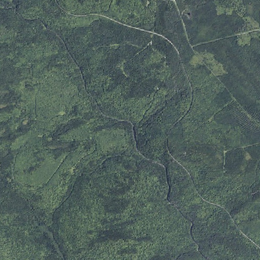 Aerial imagery of Indian Stream, ME