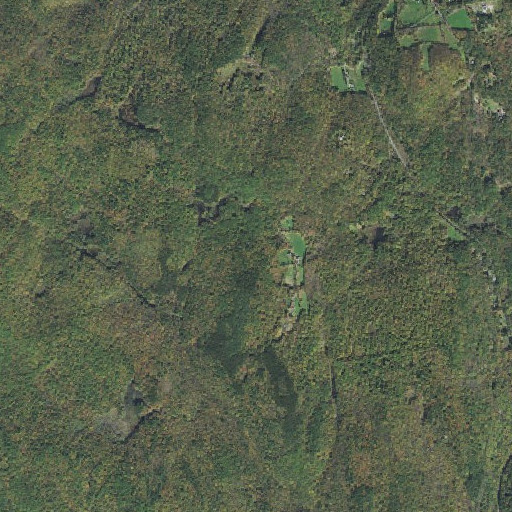 Aerial imagery of Cricket Hill, MA