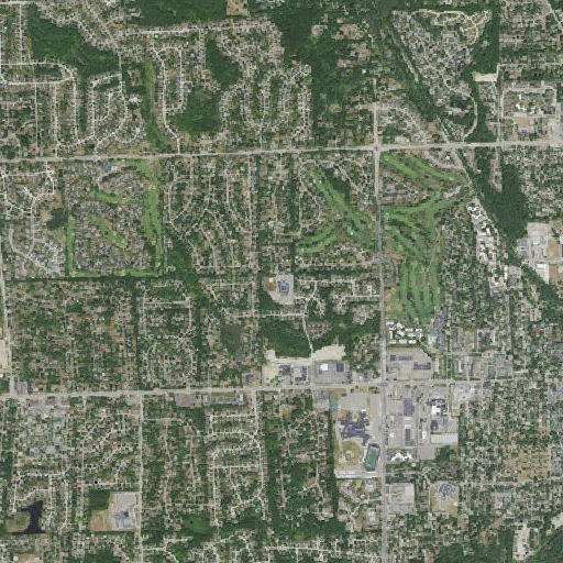 Aerial imagery of Long Meadow School, MI