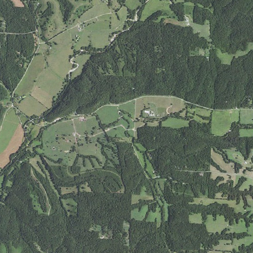 Aerial imagery of Charleton Hollow, MO