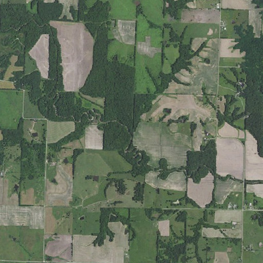 Aerial imagery of Daggs Branch, MO