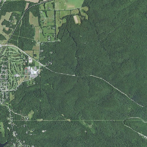 Aerial imagery of Elm Spring, MO