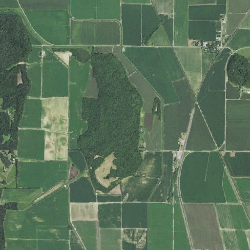 Aerial imagery of Ringer Hill, MO