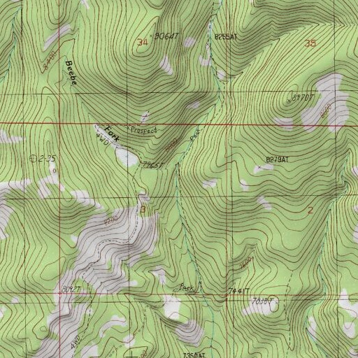 USGS 24K topo map of Beebe Fork, MT