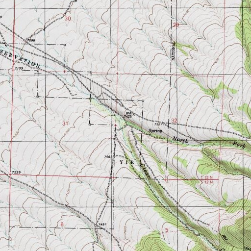 USGS 24K topo map of Goodings Ranch, NV