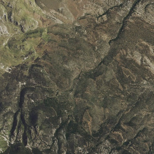 Aerial imagery of Middle Cole Spring, NV