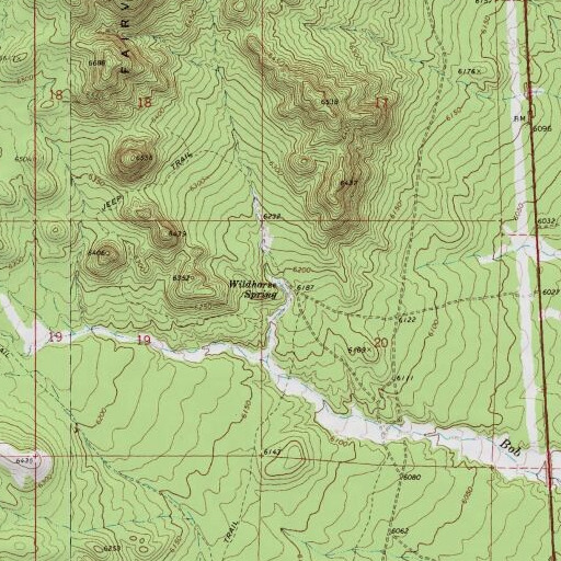 USGS 24K topo map of Wildhorse Spring, NV