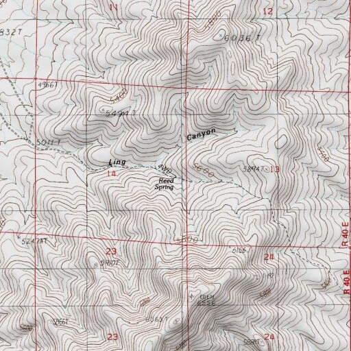 USGS 24K topo map of Reed Spring, NV